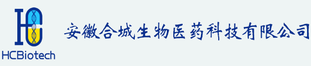 網站LOGO